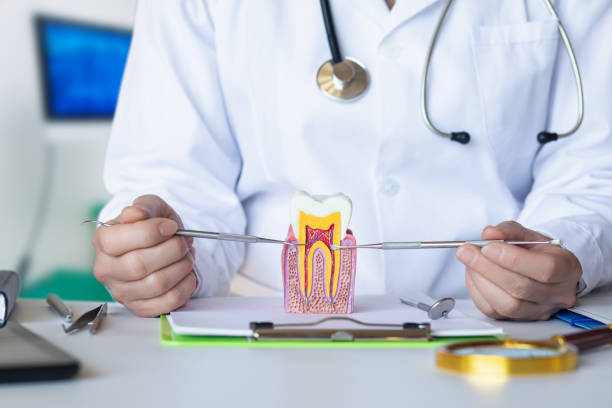 Best Emergency Root Canal Treatment in Chenango Bridge, NY